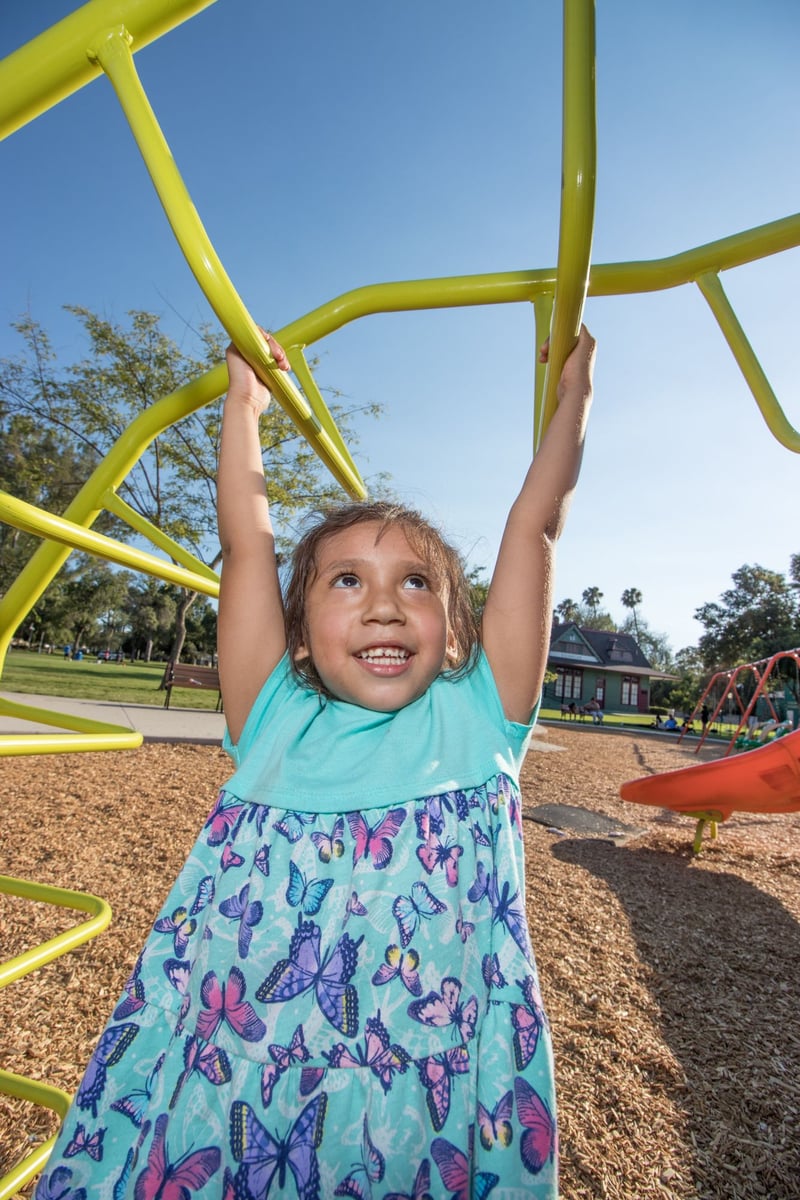 Grape Day Park preview 17